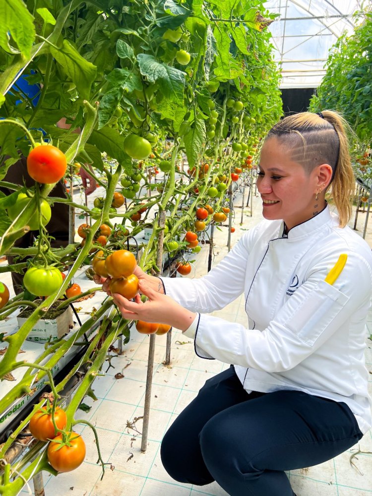 Hilton Bahrain Takes Bold Steps in Second Year of Green Ramadan, Championing Local Sustainability and Food Waste Reduction