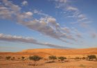 Saudi Arabia Launches Landmark Initiative to Fight Desertification and Drought