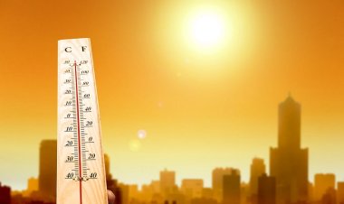 Beat the Bahrain Heat: Chill Things to Do During Scorching Summer Days