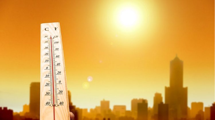 Beat the Bahrain Heat: Chill Things to Do During Scorching Summer Days