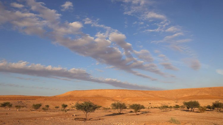 Saudi Arabia Launches Landmark Initiative to Fight Desertification and Drought