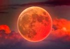 Bahrain’s Blood Moon Spectacle: Stargazing Evening at Adliya