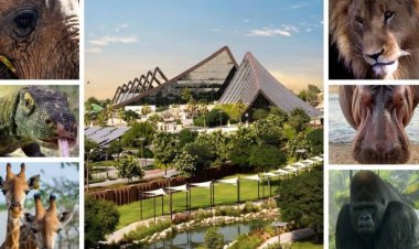 Dubai Safari Park to Reopen for Season 7 in October
