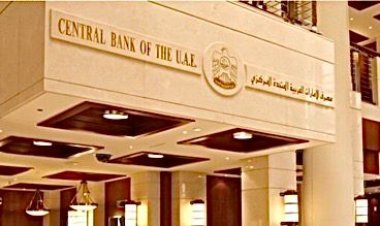 UAE Central Bank Cuts Key Interest Rate for First Time in 2025 Following US Fed Move
