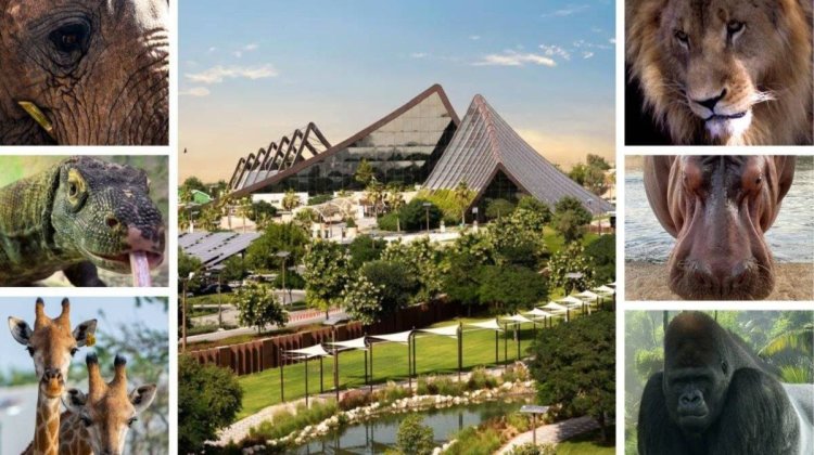 Dubai Safari Park to Reopen for Season 7 in October