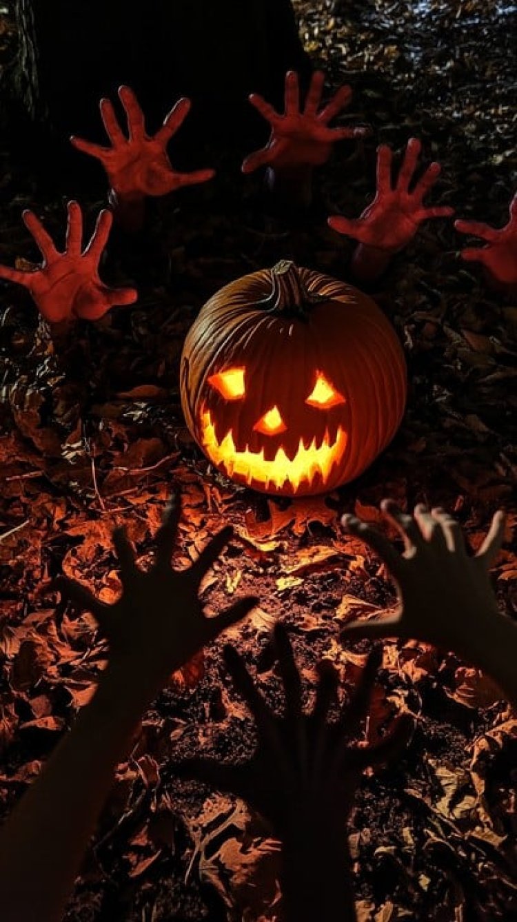 Horror Fest Bahrain 2025: Get Ready for the Ultimate Scare Experience!