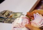 UAE and Türkiye Move Towards Local Currency Trade with Swap Agreement