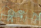 Saudi Arabia Unveils 12,000-Year-Old Rock Art Discovery in Al Nafud Desert