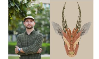 Inside UAE Desert Wildlife: How One Artist Explores the Lives of Rare Gazelles, Scorpions, and More