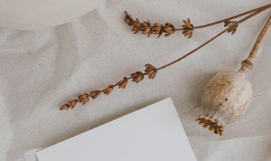 Digital Minimalism: Taking Back Control from Our Screens