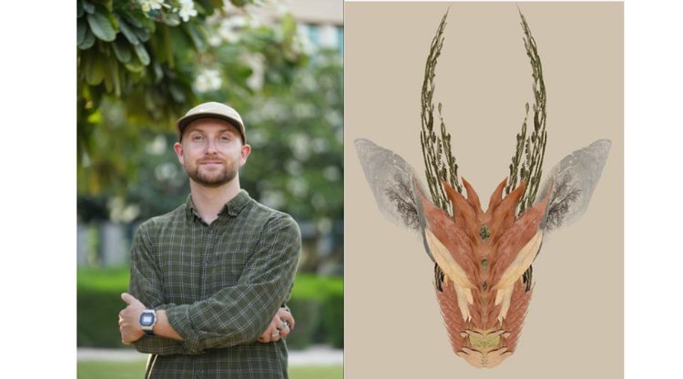 Inside UAE Desert Wildlife: How One Artist Explores the Lives of Rare Gazelles, Scorpions, and More