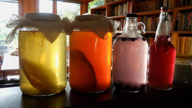 The World’s Gut Health Boom: How Prebiotic and Probiotic Drinks Are Transforming Global Wellness