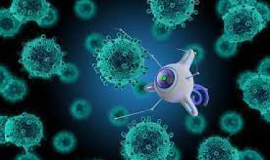 Breakthrough in Cancer Treatment: Nanobots That Heal from Within