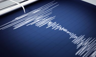 Tremors Felt Across UAE After 4.6 Magnitude Quake in Musandam