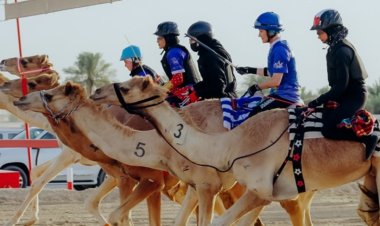 Racing Beyond Tradition: How the C1 Championship Is Redefining Camel Racing