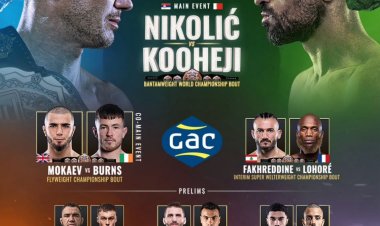 BRAVE CF 100: Historic Night in Bahrain as Nikolić and Mokaev Shine at Centennial Event