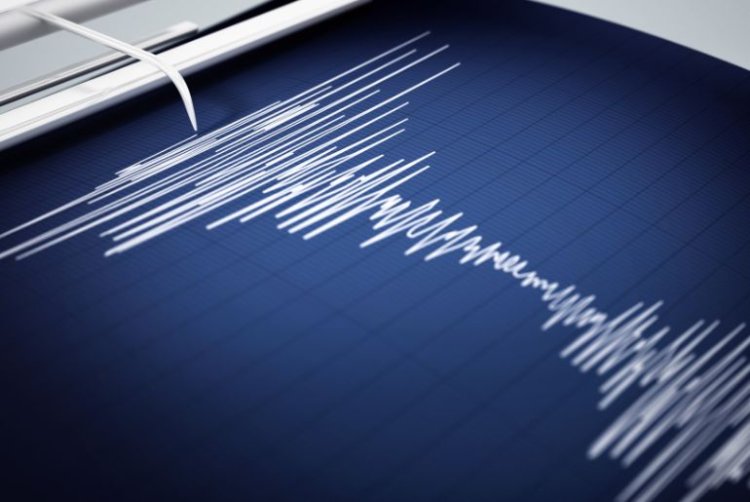 Tremors Felt Across UAE After 4.6 Magnitude Quake in Musandam