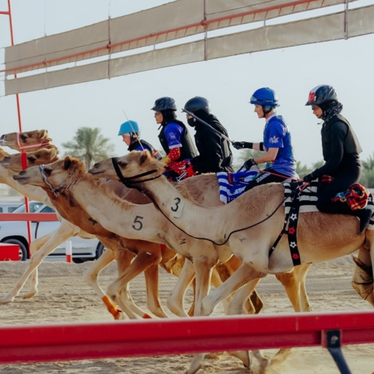 Racing Beyond Tradition: How the C1 Championship Is Redefining Camel Racing