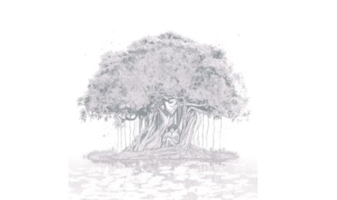 Sufr’s ‘Bargad’ Becomes a Global Indie Phenomenon, Redefining South Asia’s New Wave Music Movement