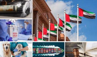 UAE Introduces 10 Major Law Changes Reshaping Tax, Business and Justice
