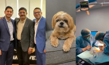 Bahrain Marks Milestone With First-Ever Pet Cataract Surgery