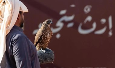 Saudi Arabia: King Abdulaziz Falconry Festival 2025 Launches With Falconers From Nine Countries