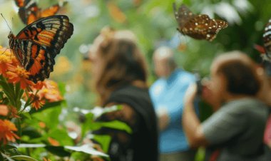 Butterfly Garden to Become Abu Dhabi’s Newest Indoor Wildlife Attraction