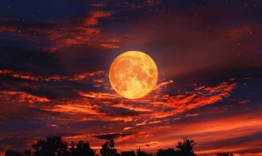 Blood Moon to light up global skies during rare total lunar eclipse on March 3