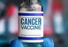 Russia claims new cancer vaccine Enteromix is ready for clinical use, experts urge caution