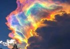 Rare ‘fire rainbow’ lights up skies over New Zealand’s Nelson region