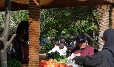 212 Tonnes of Local Produce Sold at Bahrain Farmers’ Market as Tomatoes Lead Sales