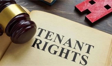 Dubai tenancy laws explained: when and how landlords can evict tenants legally