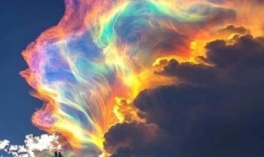 Rare ‘fire rainbow’ lights up skies over New Zealand’s Nelson region