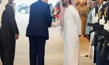 Sheikh Tahnoon acquires 49% stake in World Liberty Financial in $500m deal