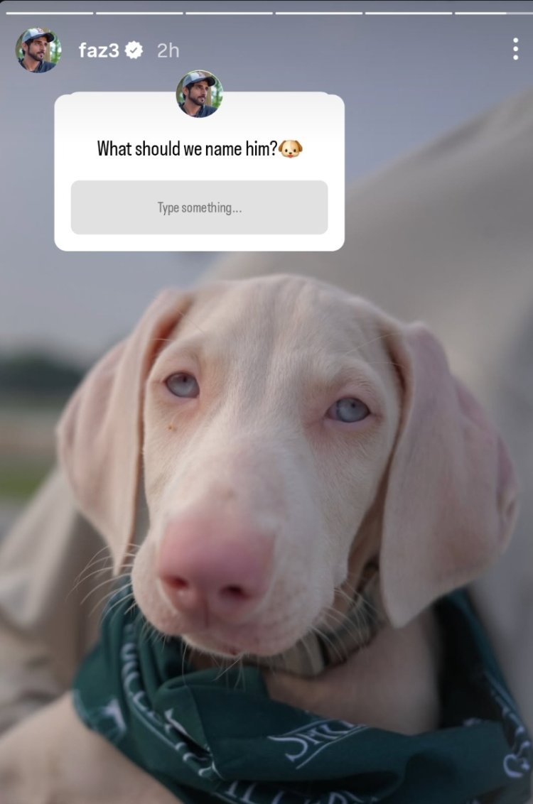 Sheikh Hamdan’s puppy post sparks global frenzy as ‘Pluto’ wins fans’ hearts