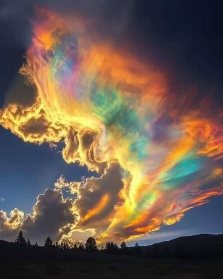 Rare ‘fire rainbow’ lights up skies over New Zealand’s Nelson region