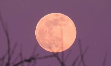 Pink Full Moon to shine over Bahrain skies on April 1–2